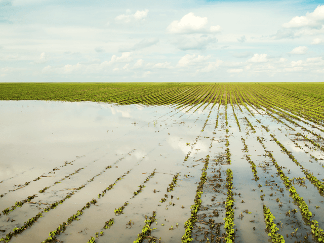 Crop Insurance Solutions